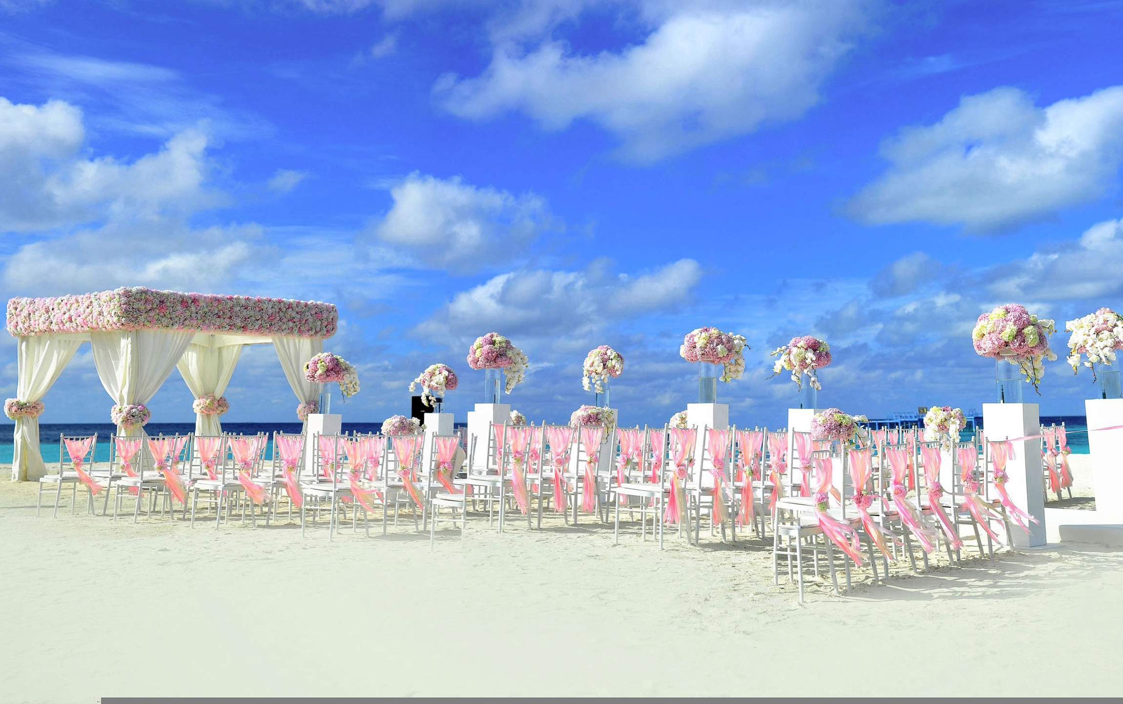 WEDDING ON THE BEACH image 1